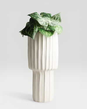 Vase cement cream